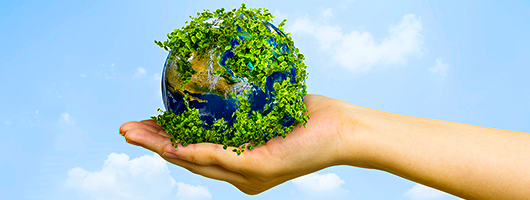 Environmental