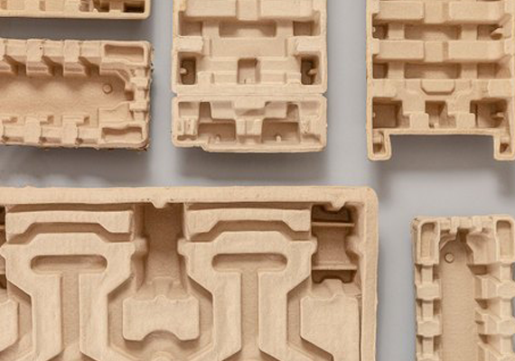 Fibre-based packaging Pulp Moulding
