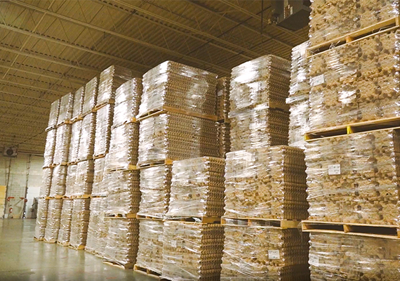 Moulded Pulp Packaging Manufacturing Process