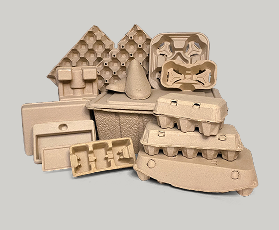 Pulp Moulding